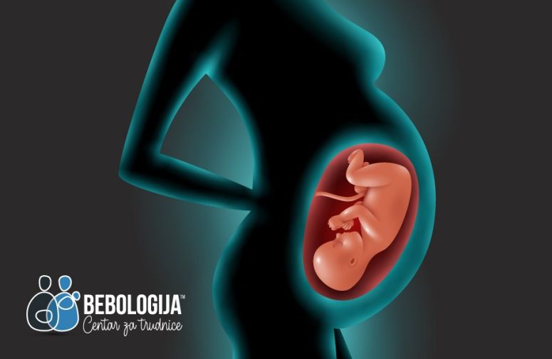 Od začeća do porođaja: Pogledajte kako raste vaša beba u stomaku tokom 9 meseci (VIDEO)