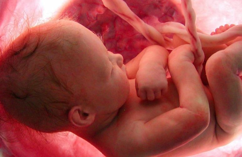 Zašto čuvati matične ćelije – medicina objašnjava