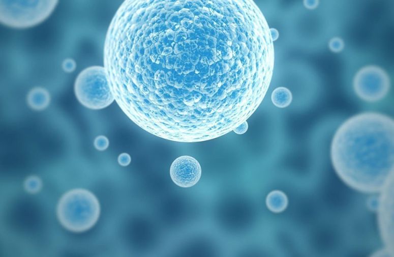 Cryo Save isključen iz udruženja banaka matičnih ćelija - Saopštenje Ministarstva Zdravlja