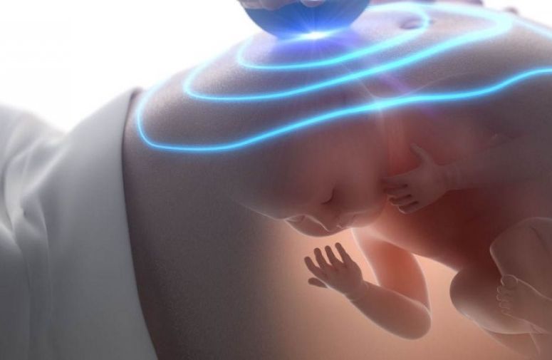 Pregled svih bebinih organa u 2. tromesečju