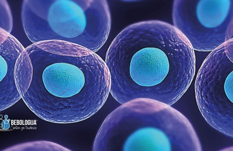 Saznajte kod kojih stanja se koristi terapija matičnim ćelijama