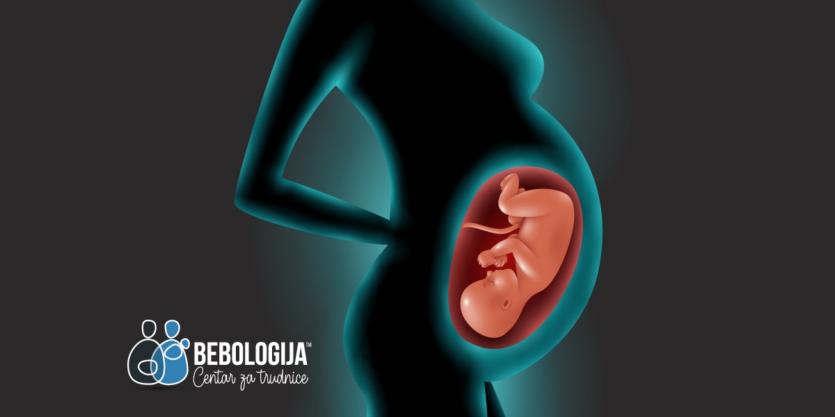 Od začeća do porođaja: Pogledajte kako raste vaša beba u stomaku tokom 9 meseci (VIDEO)