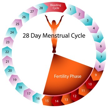 Dan menstruacije drugi seks Šta bi
