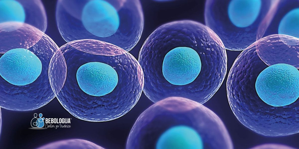 Saznajte kod kojih stanja se koristi terapija matičnim ćelijama