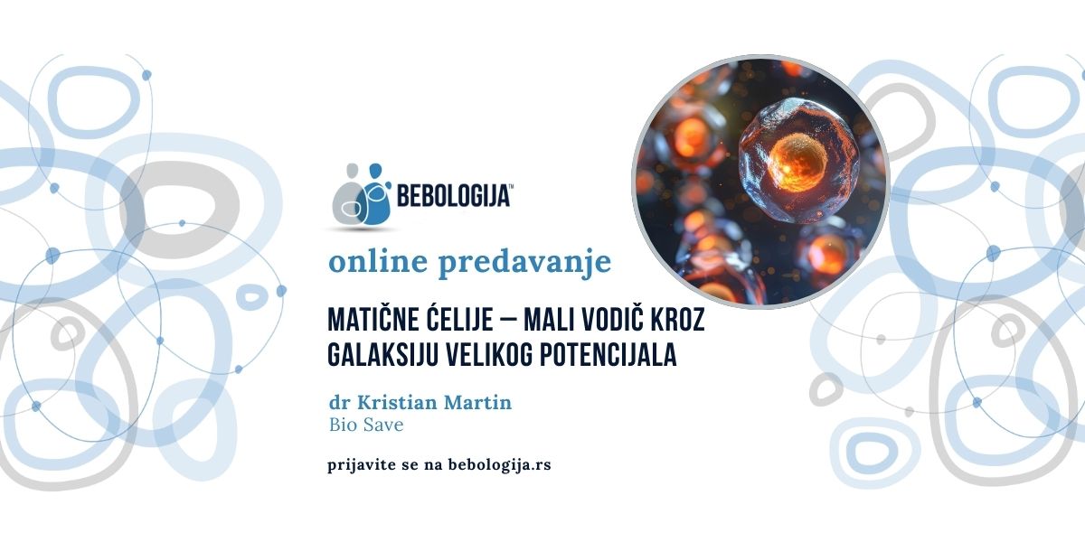 BEBOLOGIJA ONLAJN: Matične ćelije, mali vodič kroz galaksiju velikog potencijala